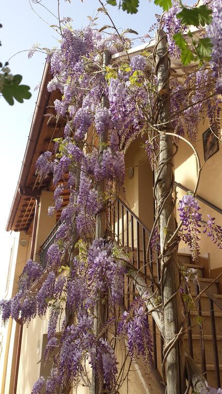 Agriturismo Casal Taccone Apartment Tarquinia Exterior photo